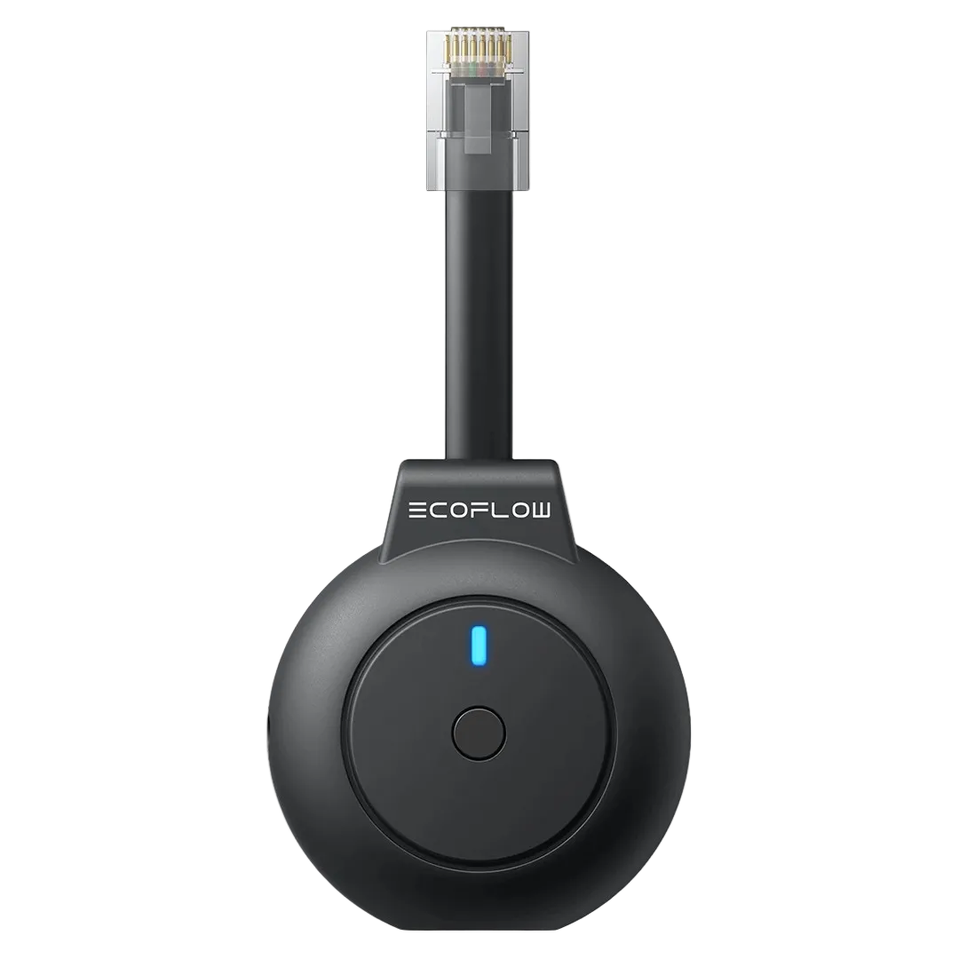 Ecoflow P1 Meter